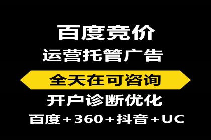 百度竞价赚钱攻略：实战案例分享